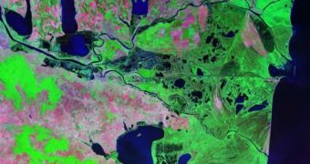 In this satellite picture, the Danube delta is depicted in green