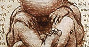 An illustration by Leonardo da Vinci, depicting the human fetus inside the womb