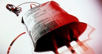 Boys develops severe allergy to fish and nuts following blood transfusion