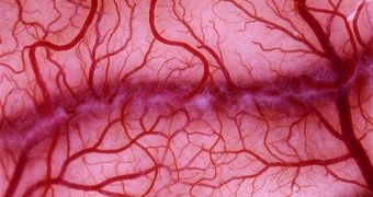 Researchers say blood vessel cells injections could one day eliminate the need for transplant surgeries