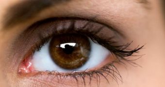 Blood vessels in the eye can indicate how intelligent a person is, researcher says