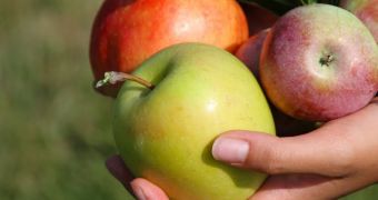 Researchers find apples, grapes, and blueberries greatly lower type 2 diabetes risk