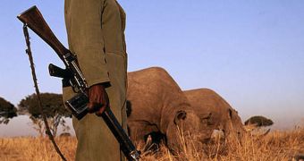 Researchers argue that anti-poaching campaings are repeating the mistakes of the War on Drugs