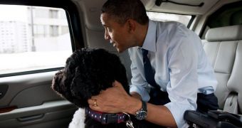 Bo Obama rides in the presidential vehicle