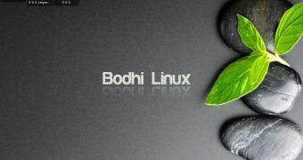 Bodhi Linux desktop