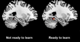 MIT neuroscientists showed that activity in a part of the brain called the PHC correlates with the brain’s preparedness to learn new information