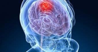 Brain Cancer Can Be Fought Off with the Help of Fat
