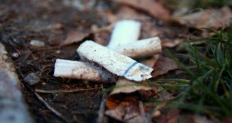 Smoking from late adolescence to early adulthood triggers neurobiological changes that may cause a more severe dependence on tobacco in adulthood