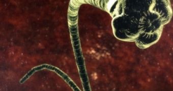 Brain-eating parasite warning issued by the Department of Health in Florida