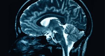 Brain Scans Could Help Doctors Pick the Best Treatment Option for Depression Patients