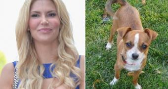 Brandi Glanville Gets New Dog While Waiting for Missing One to Return
