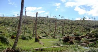 Brazil announces reduction in its deforestation rates