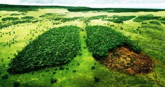 Brazil takes further steps towards curbing deforestation