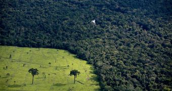 Brazil Wants to Count, Register Each and Every Tree in the Amazon