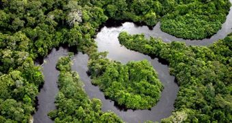 Brazil’s Pig Iron Industry Commits to Protecting the Amazonian Forests
