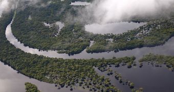 The Amazon Rainforest, the largest tropical forest in the world