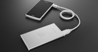 Sony flat battery, a portable power pack