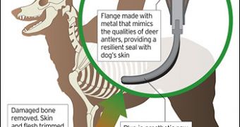The dog prosthetic paw
