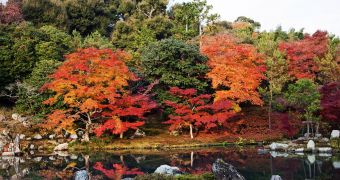Autumn Color in Japan theme