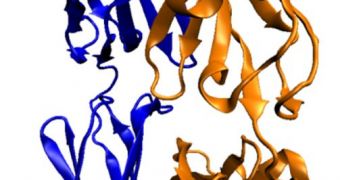 UB investigators create new protein architecture