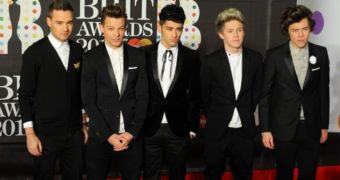 The boys from One Direction pose for pictures on the red carpet at the Brit Awards 2013