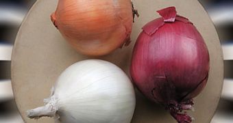 British Co-op Onions Now Come in Recyclable Packaging