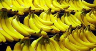 Family was forced to flee home after finding a cluster of spiders in a bunch of bananas