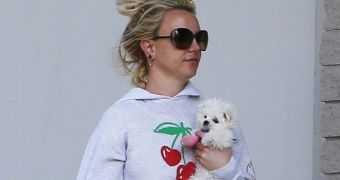 Britney Spears' Puppy Injures Its Leg