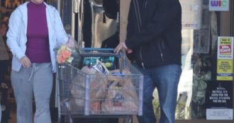 Britney Spears goes shopping for groceries