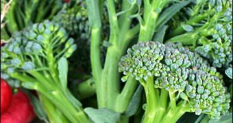 Broccoli Helps Reduce Prostate Cancer Risk