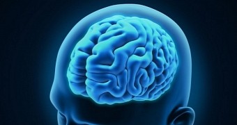 War leaves visible marks on the brain, study finds