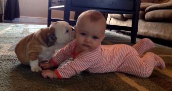 Baby and bulldog share love and cuddles