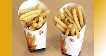 "Satisfries" are now offered at Burger King
