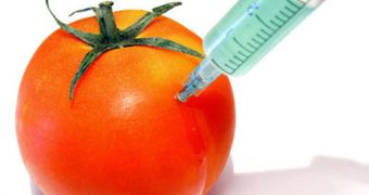 A new Austrian study has linked the use of GMO to human infertility