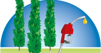 The biofuels industry is not as people-friendly as we think