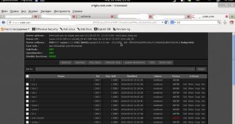 Screenshot of CNET compromised web server