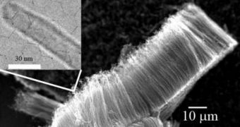 Carbon nanotubes could serve as supercapacitor electrodes with enhanced charge and energy-storage capacity (inset: a magnified view of a single carbon nanotube)