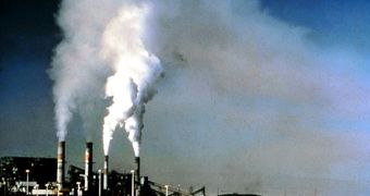 CO2 Concentration Could Reach Record Level in 2010
