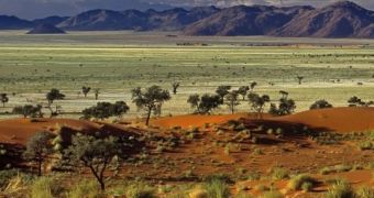 Forests might soon replace African savannas