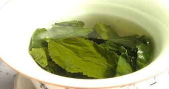 Green tea is a potent, natural source of antioxidants