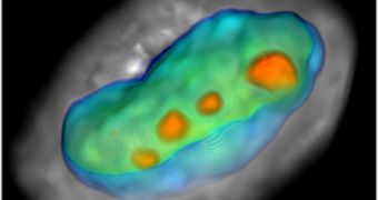 Cell-CT technology will allow researchers to observe and assess the cellular function and disease status of living cells