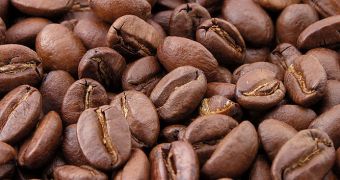 Coffee is the most commonly-used source of caffeine