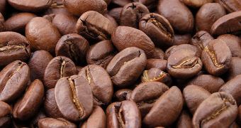 Study links caffeine consumption to infertility in women