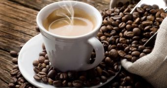 Researchers say caffeine slows brain development, is especially dangerous to children and young adults