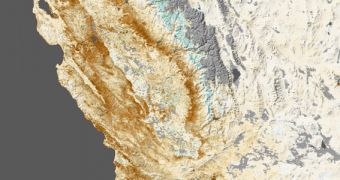 Drought causes massive loss of vegetation throughout California