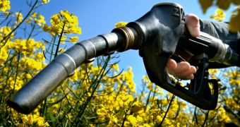 The California Energy Commission announces grant funds for biofuel projects