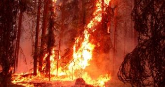 Cybercrooks poison search results for the California wildfires