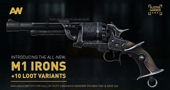 The new M1 Irons for Advanced Warfare