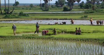 The Cambodian government goes to extreme lenghts to boost national agriculture