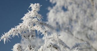 A series of frost quakes hit Canada due to extremely-low temperatures